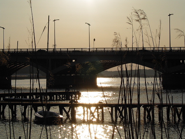 手賀沼夕景