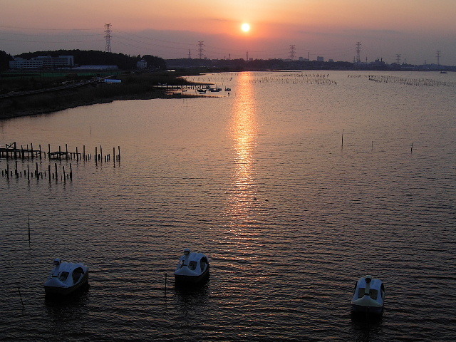 手賀沼夕景