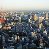 Tokyo City View