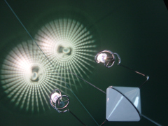 室内に咲いた花火