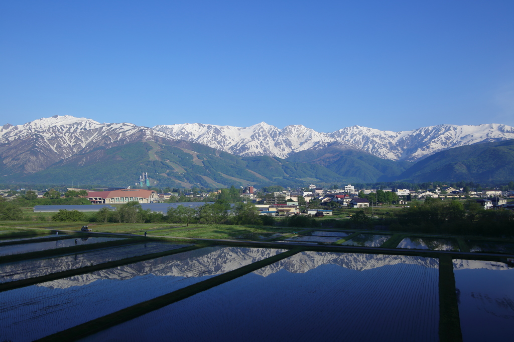 良い天気