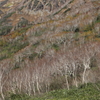 小谷村・栂池自然園1