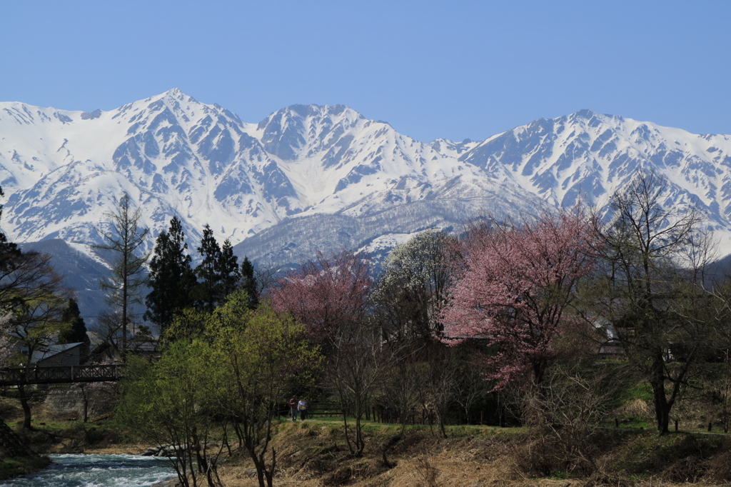 白馬・大出