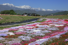 大町市農具川河川公園