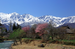 茅葺のある風景