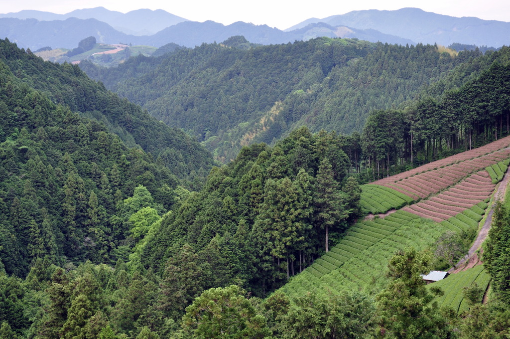 山間