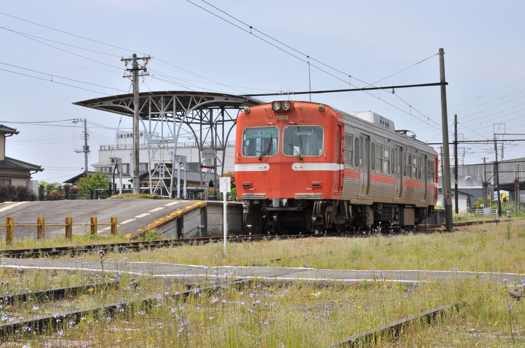新・赤がえる