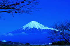 電球富士山