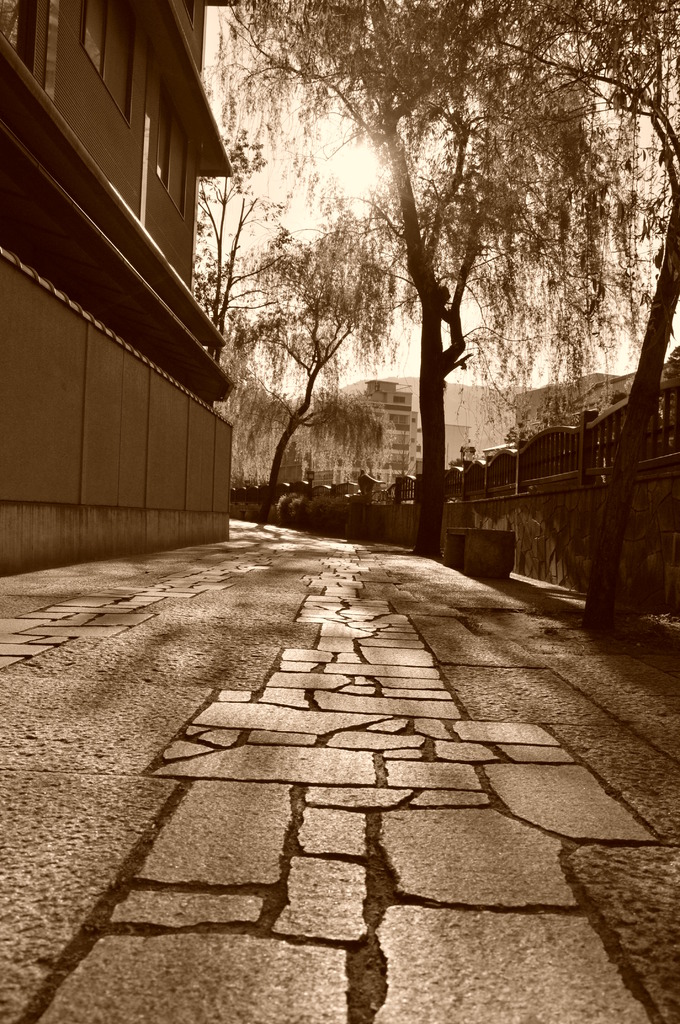 古き良き細道