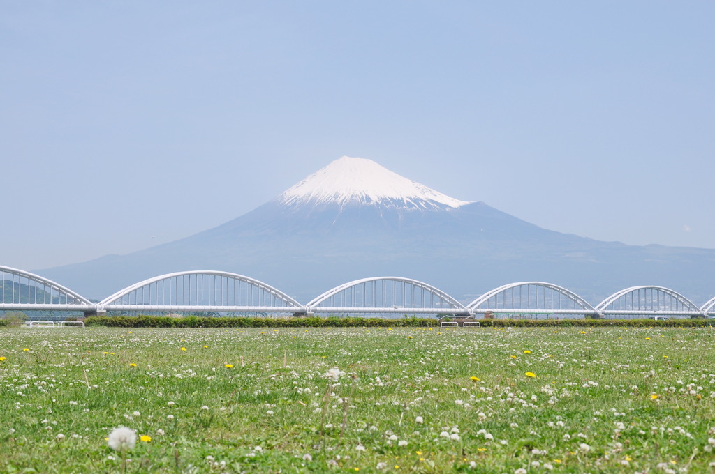 草原とＦＵＪＩＹＡＭＡ