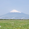 草原とＦＵＪＩＹＡＭＡ