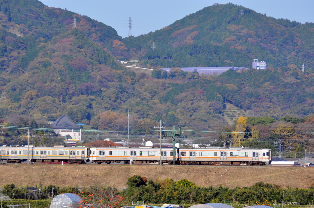 東海道線で長閑な風景を