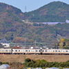 東海道線で長閑な風景を