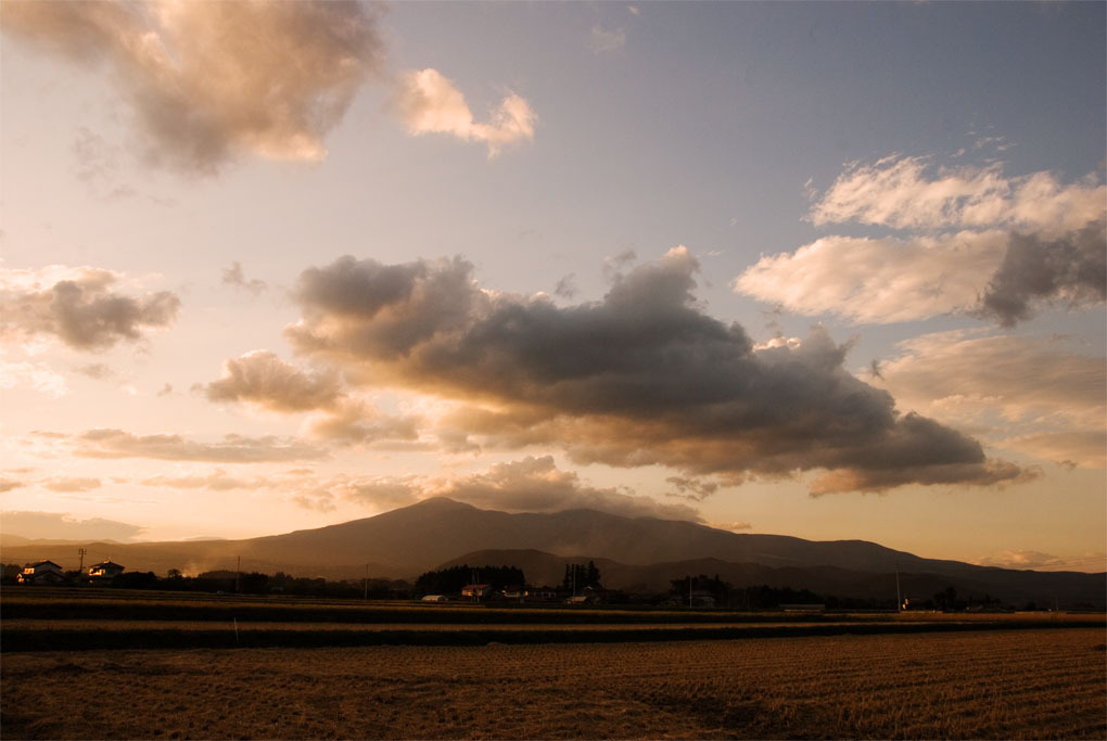 PHOTO#42