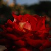 photo#1