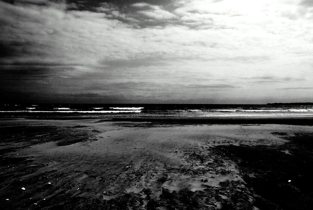photo#12