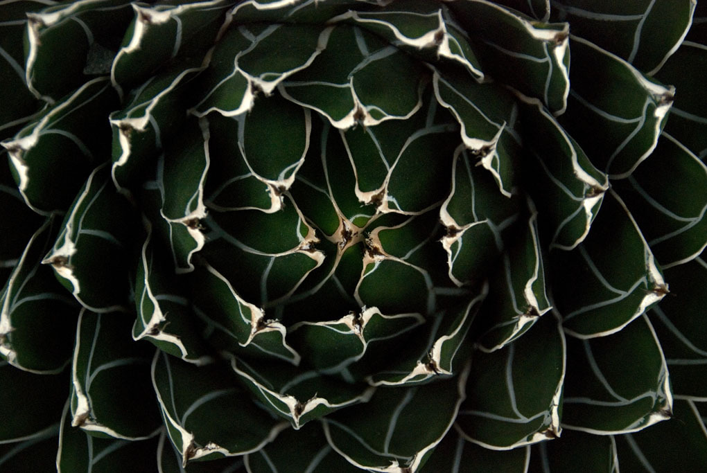 PHOTO#35