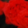 photo#2