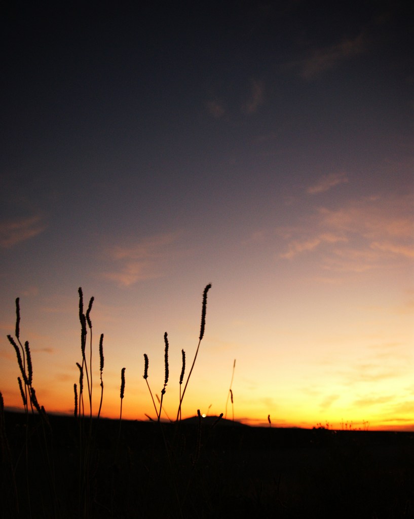 初秋の夕暮れ