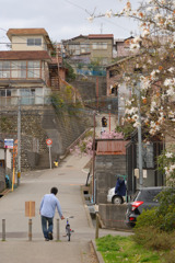  坂の春