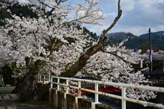 力強さ