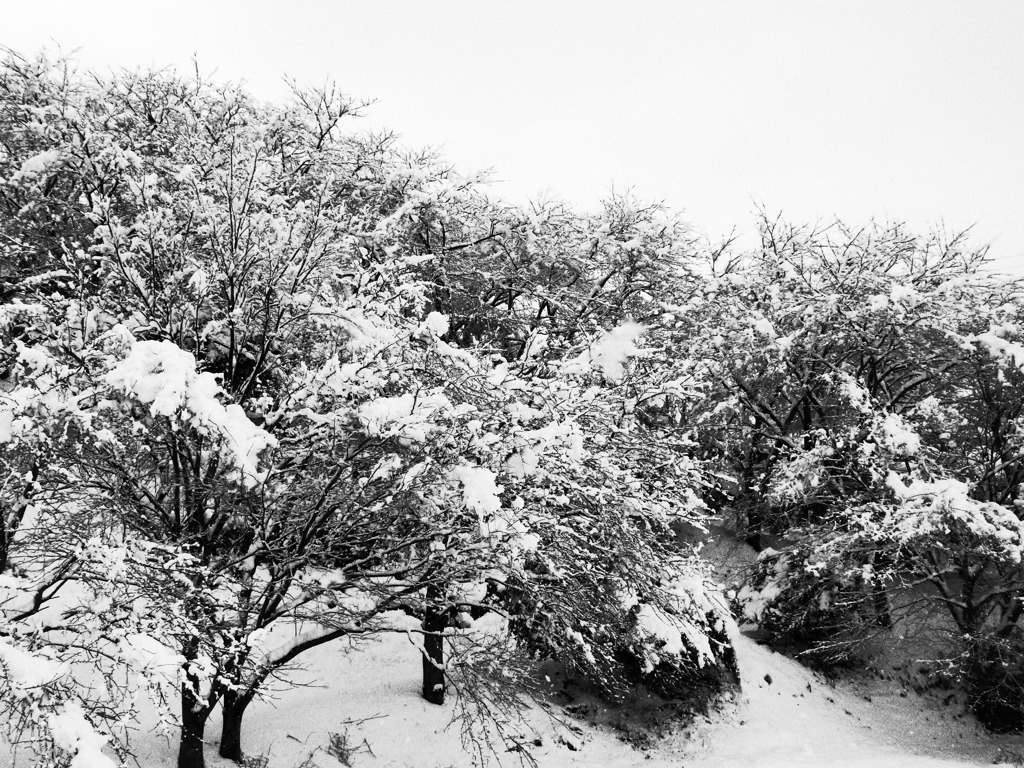 雪山