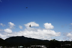 嵐山の空に