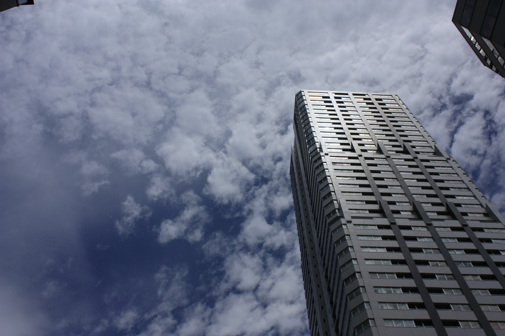 ここに、夏が