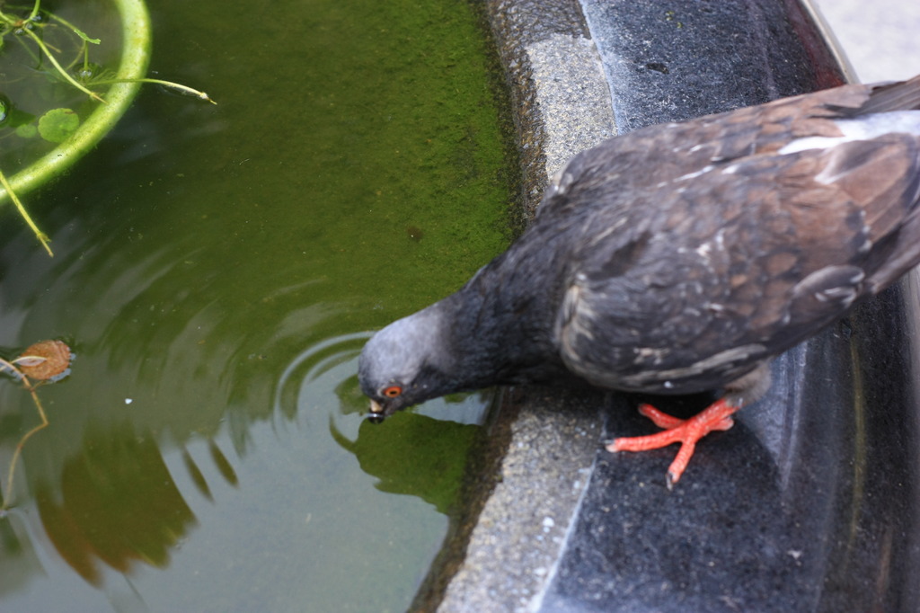 喉の渇きを潤して