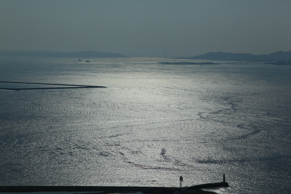 光る…海