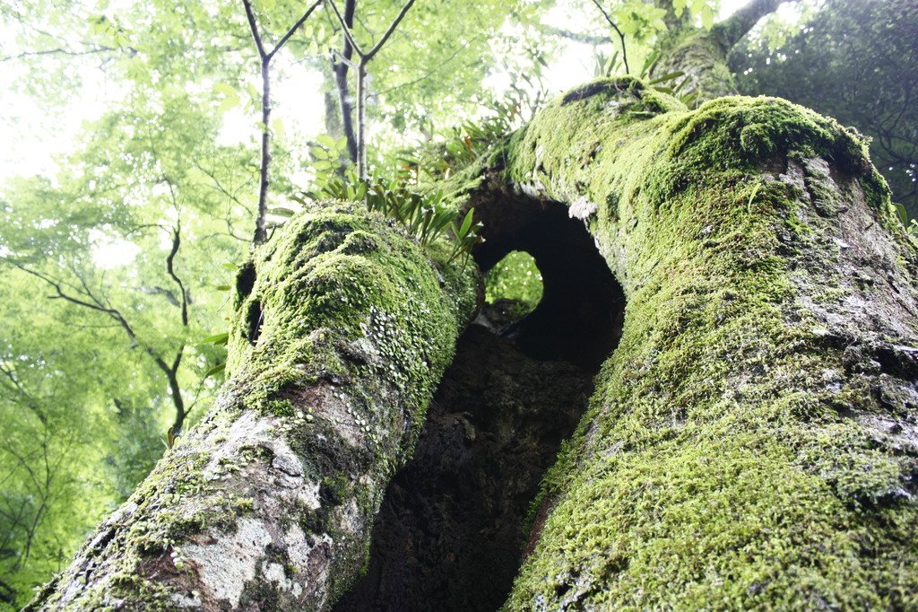 きっと、別世界が