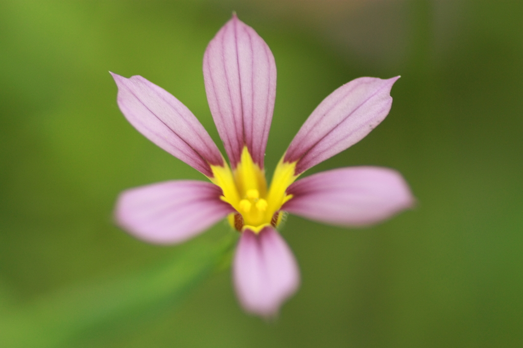 吸い込まれそう