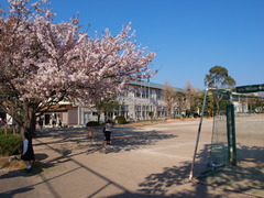 入学式模様