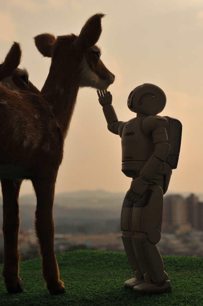 アシモの世界３