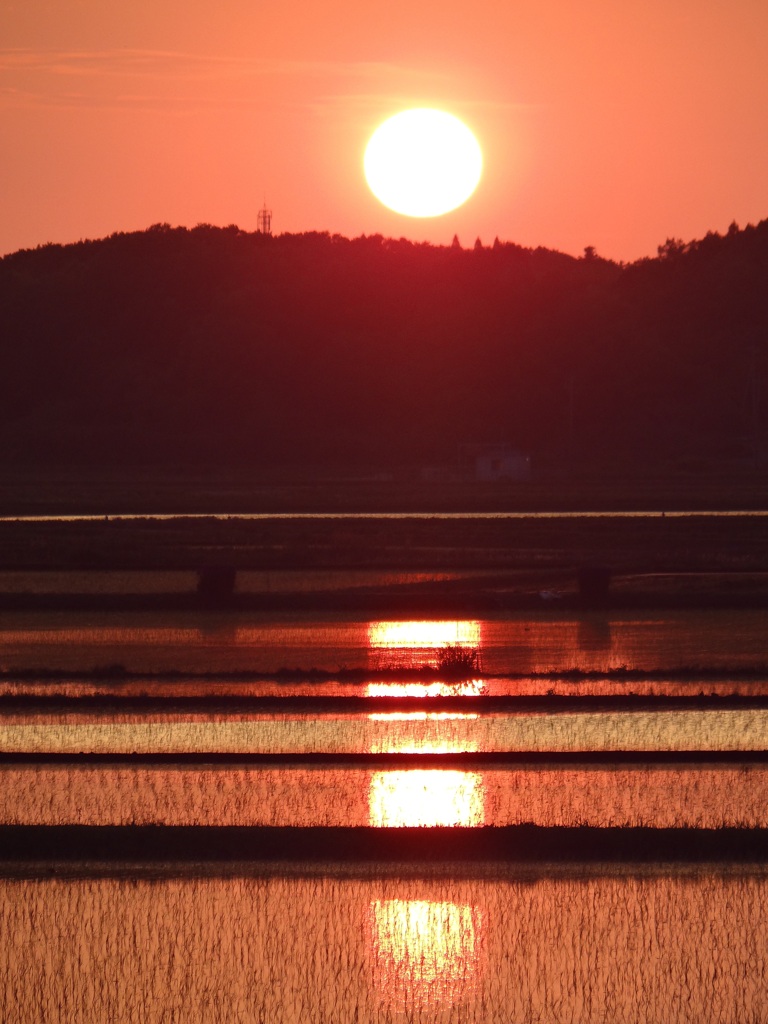 夕日と夕焼け