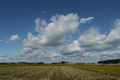 秋の雲