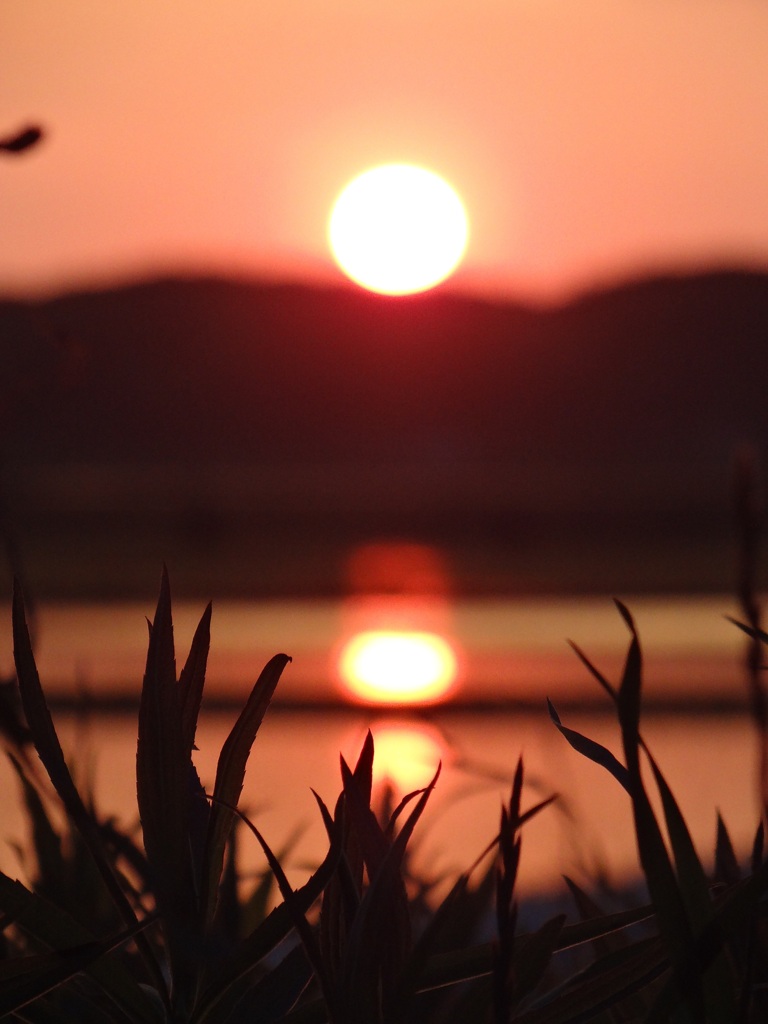 夕日と夕焼け