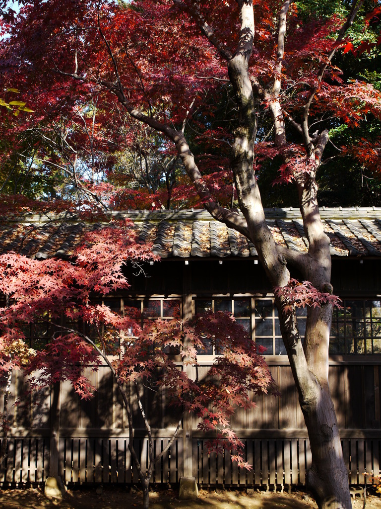 本土寺