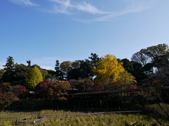 本土寺