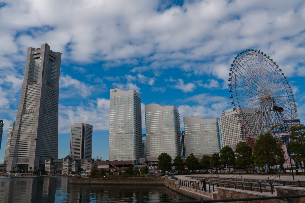 快晴な1日