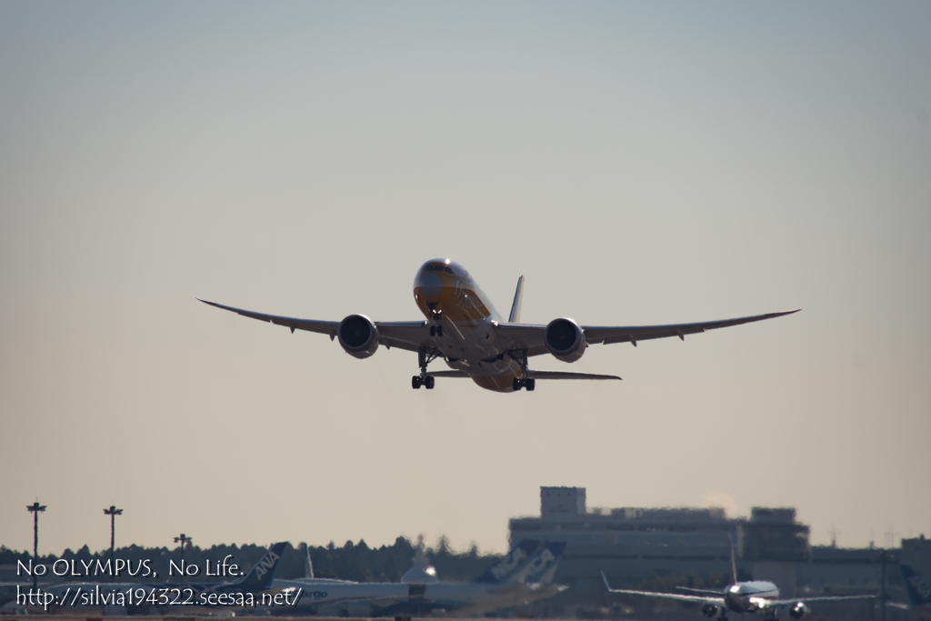 大空へ