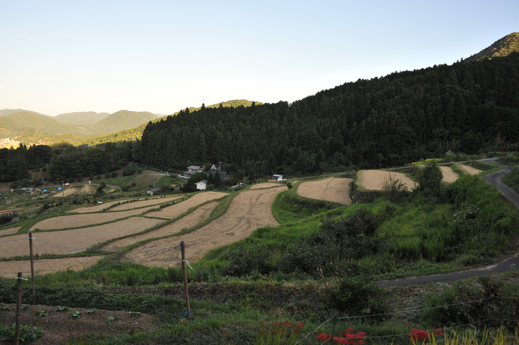 大阪府能勢町棚田