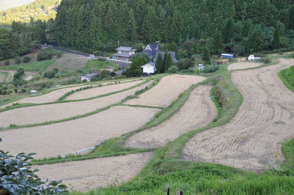 大阪府能勢町棚田