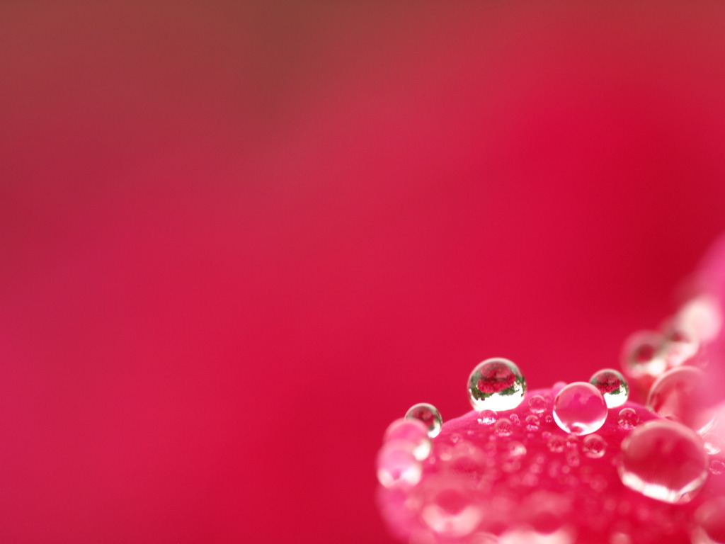 愛の水中花♪