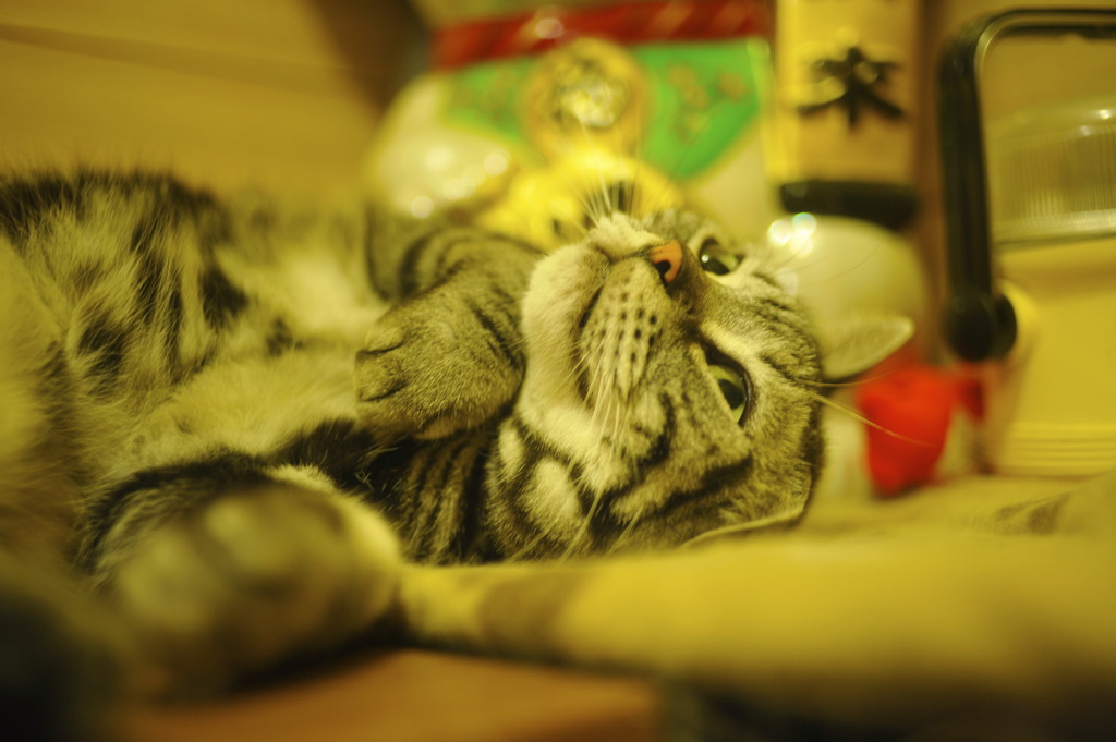思い出しニヤケ♪