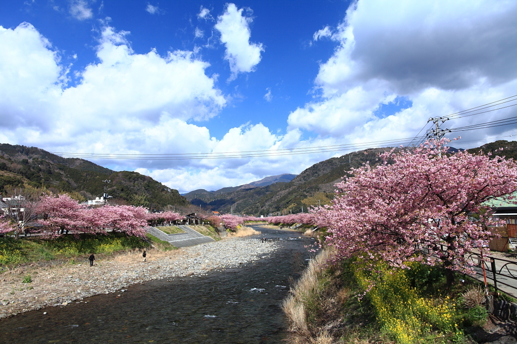 河津の思い出