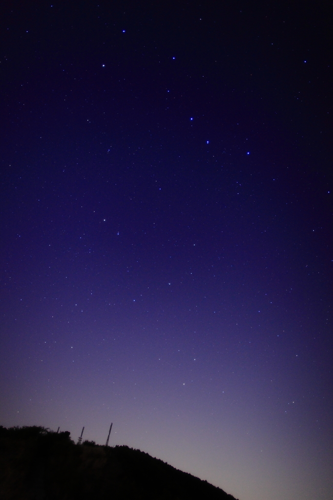 電波塔と星空