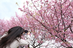 SPRING HAS COME 2012