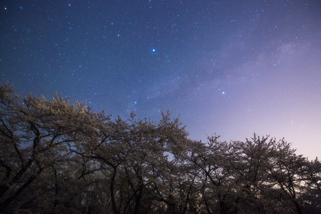星空の宴