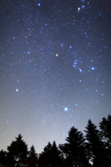 天駆けるオリオン